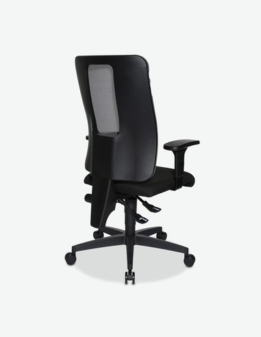Ergo 250