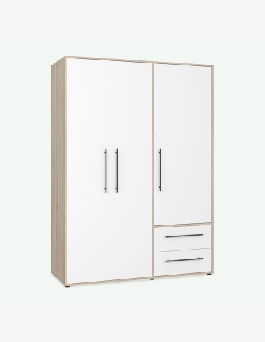 Armadi anta battente