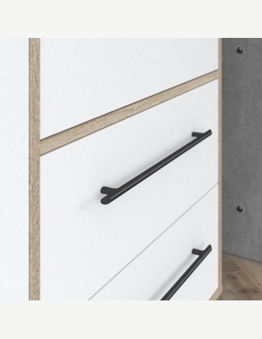 Armadi anta battente