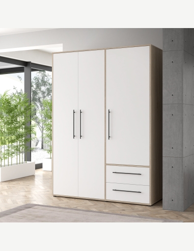 Armadi anta battente