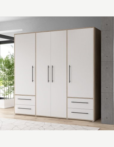 Armadi anta battente