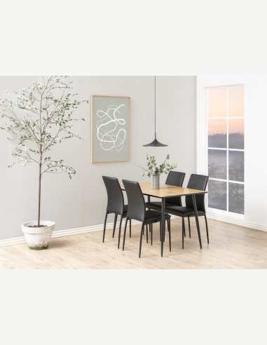 Sedie e panche da pranzo