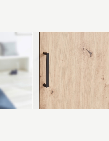 Armadi anta battente