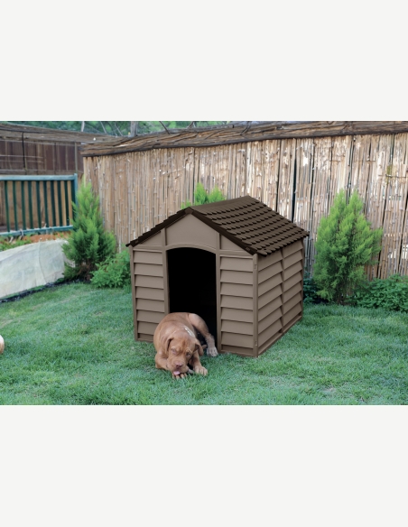 Kennel