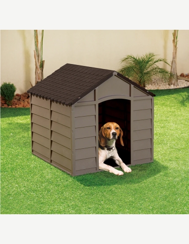 Doggy