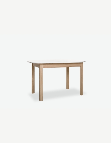 Artegna 2